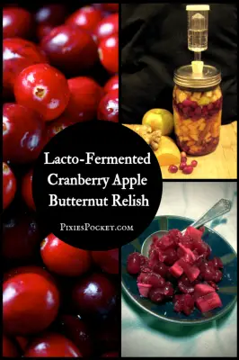 Make Your Own Cranberry Apple and Butternut Relish Lacto Fermented Recipe