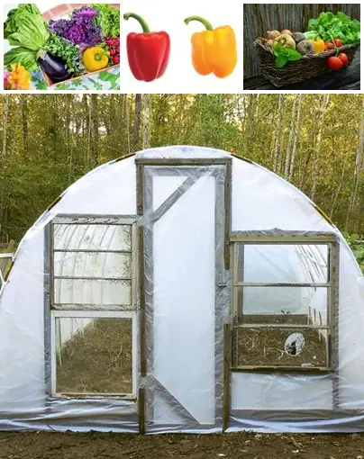 Build a Frugal Homesteading Greenhouse Project