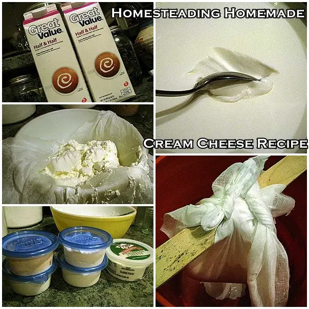 Homesteading Homemade Cream Cheese Recipe
