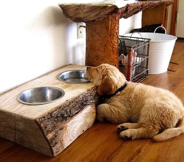 Homemade Wood Log Dog Bowl Stand