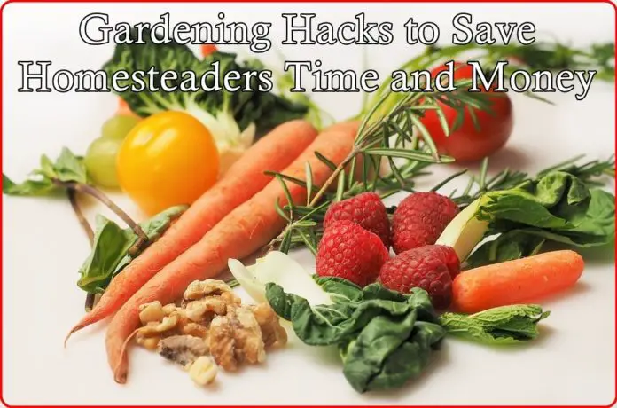 Gardening Hacks to Save Homesteaders Time and Money