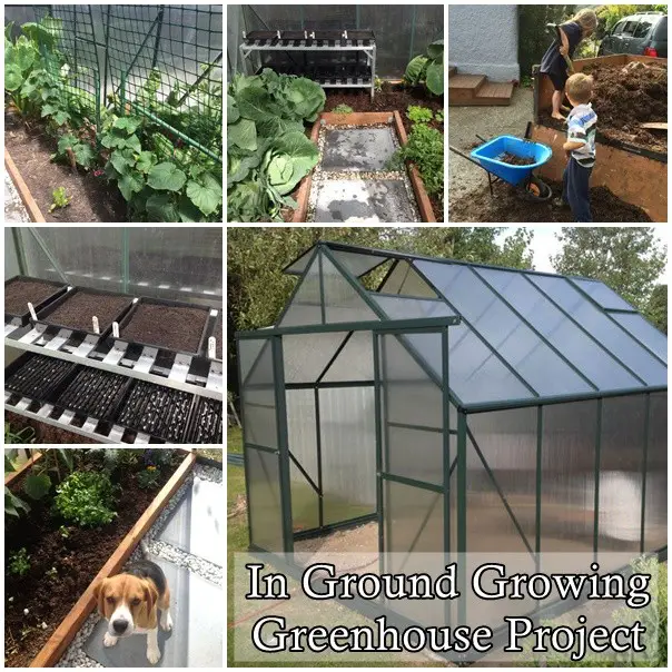 In Ground Growing Greenhouse DIY Project