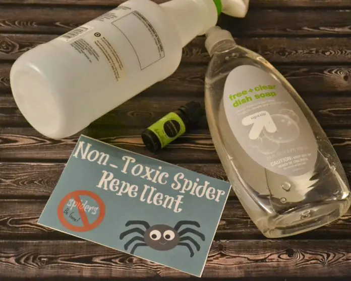Homemade Non Toxic Peppermint Spider Repellent