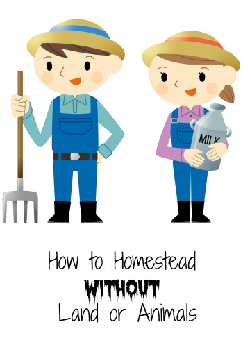 How To Homestead Without Land or Animals