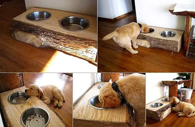 Homemade Wood Log Dog Bowl Stand