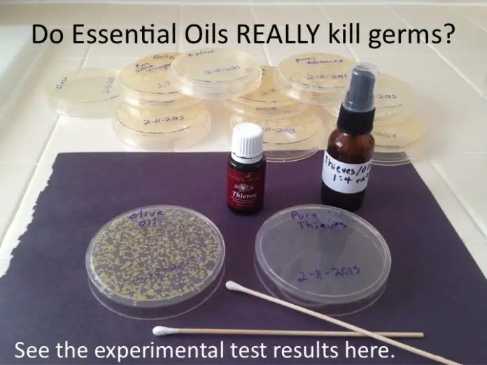 Do Essential Oils Really Kill Germs ?