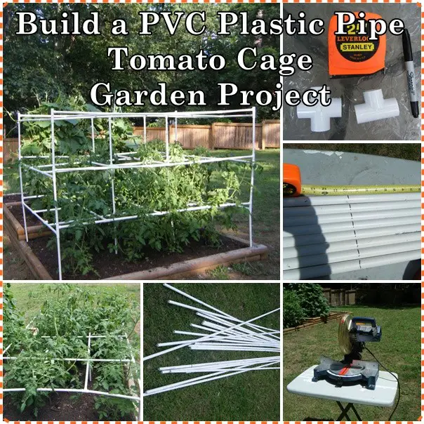 Build a PVC Plastic Pipe Tomato Cage Garden Project
