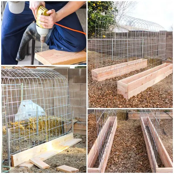 Build a Raised Garden Box and Vertical Trellis Combo Project