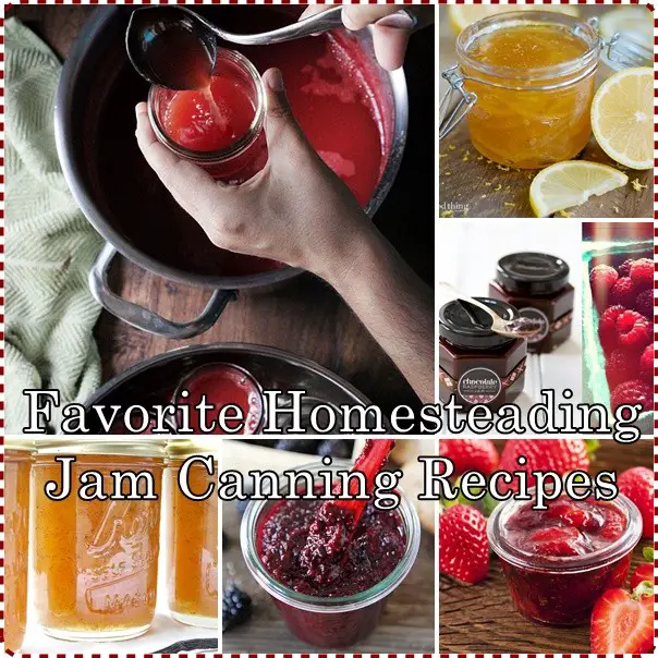 Favorite Homesteading Jam Canning Recipes