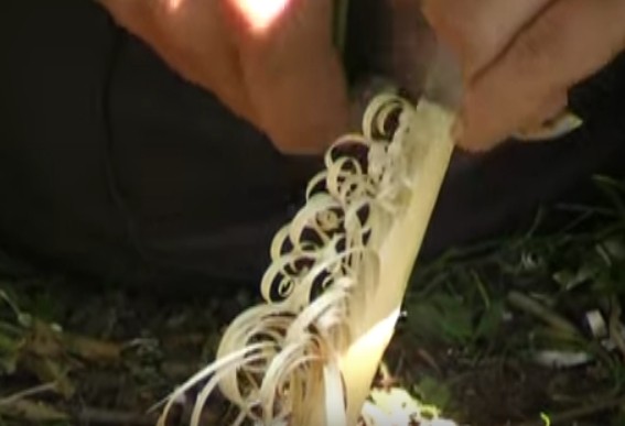 Making A Feather Stick For Fire Starting
