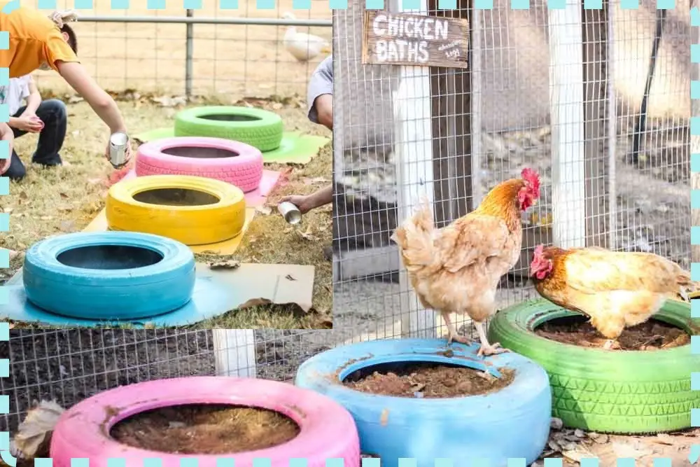 Turning Car Tires into Homesteading Chicken Dust Baths