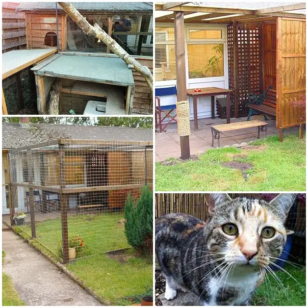 Tour of Homemade Cat Outdoor Enclosure