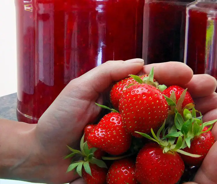 Water Bath Canning Strawberry Rhubarb Jam Recipe 
