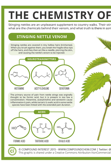 Compound Interest: The Chemistry of Stinging Nettles