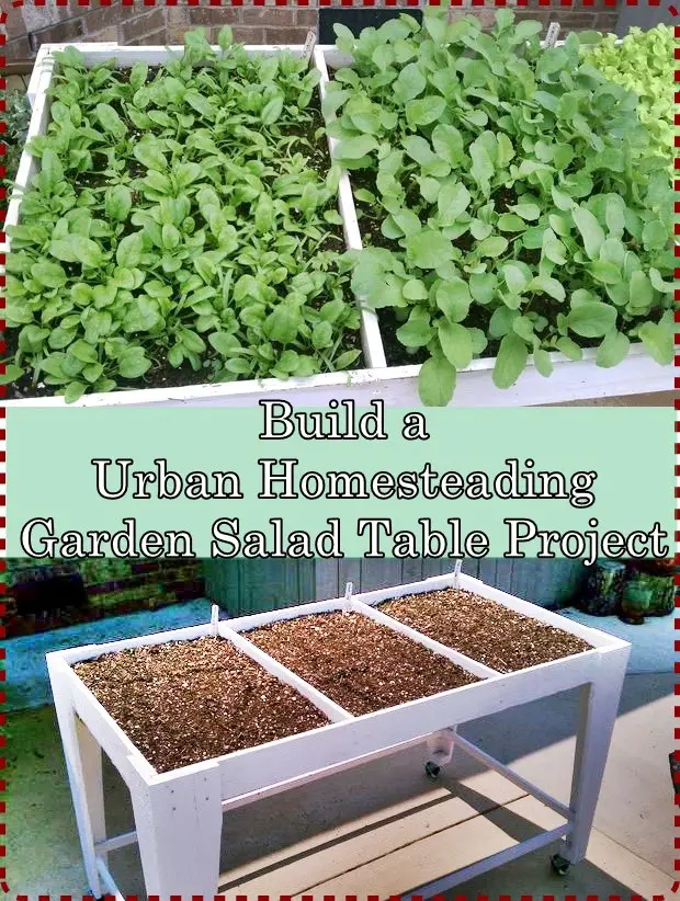 Build a Urban Homesteading Garden Salad Table Project