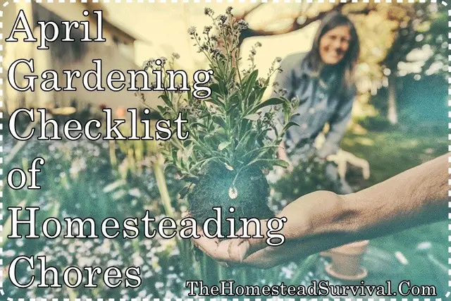April Gardening Checklist of Homesteading Chores