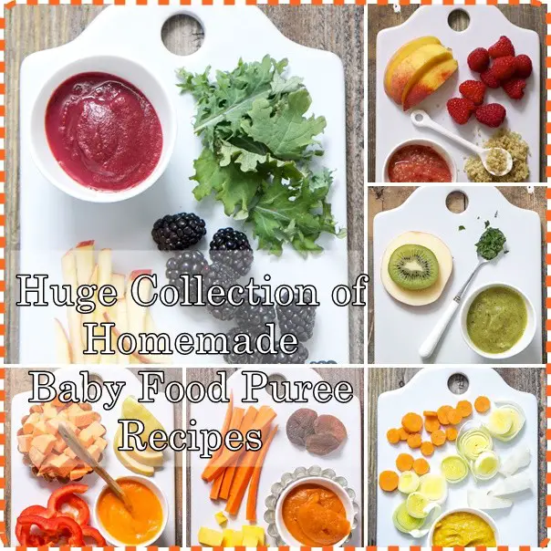 Huge Collection of Homemade Baby Food Puree Recipes