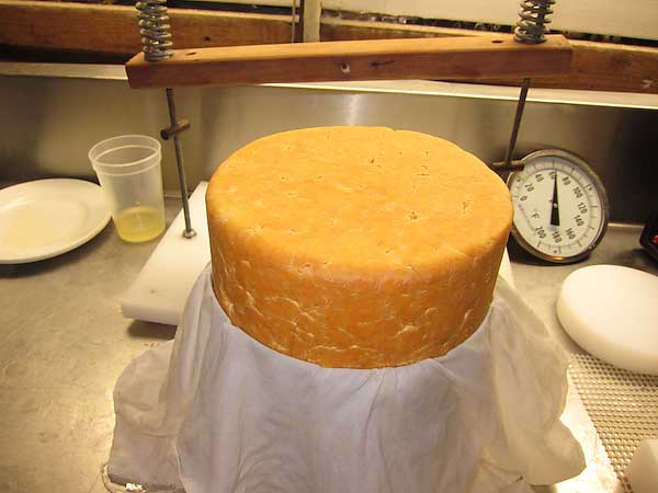 Making Cheshire Cheese