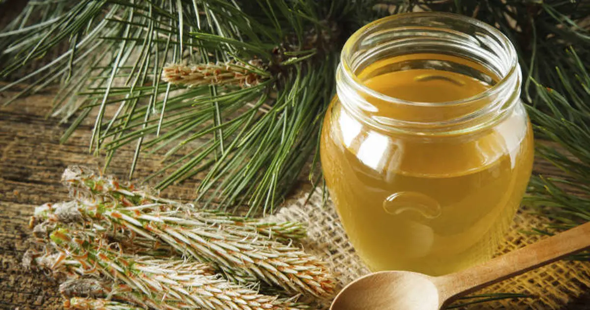 Natural Pine Needle Syrup For Respiratory Ailments
