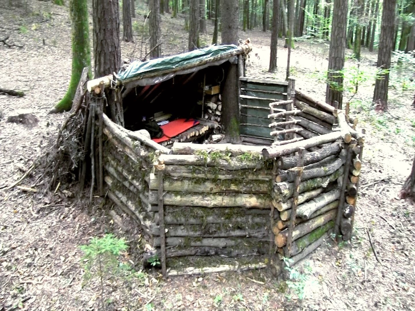 Nice DIY Shelter and Hunting Camp