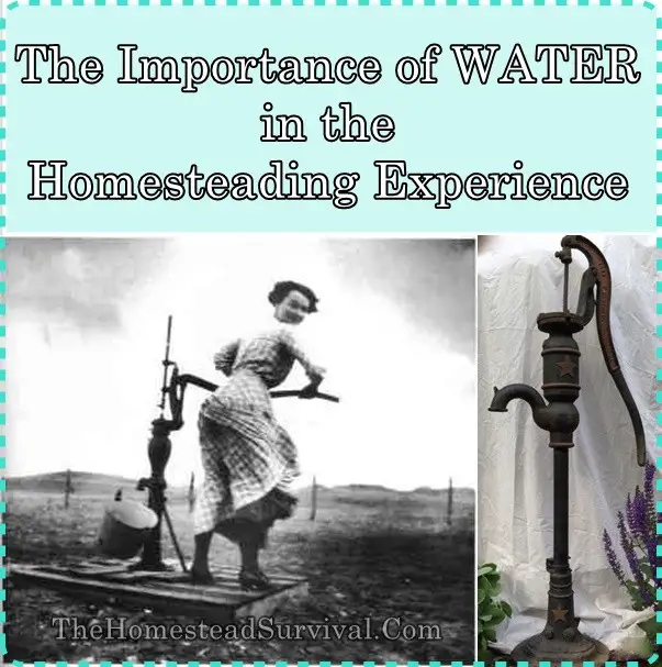The Importance of WATER in the Homesteading Experience