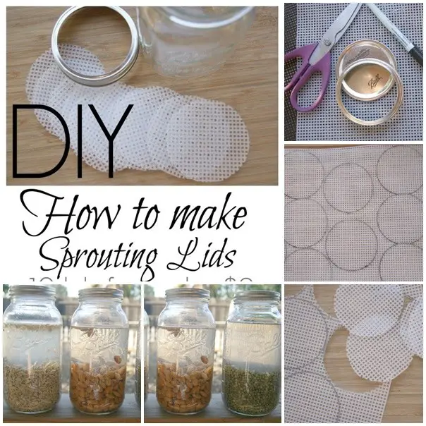 Make Cheap Mason Jar Lids for Sprouts and Microgreens