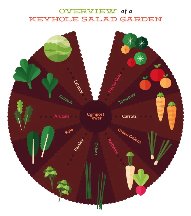 How to Build a Salad Keyhole Vegetable Garden