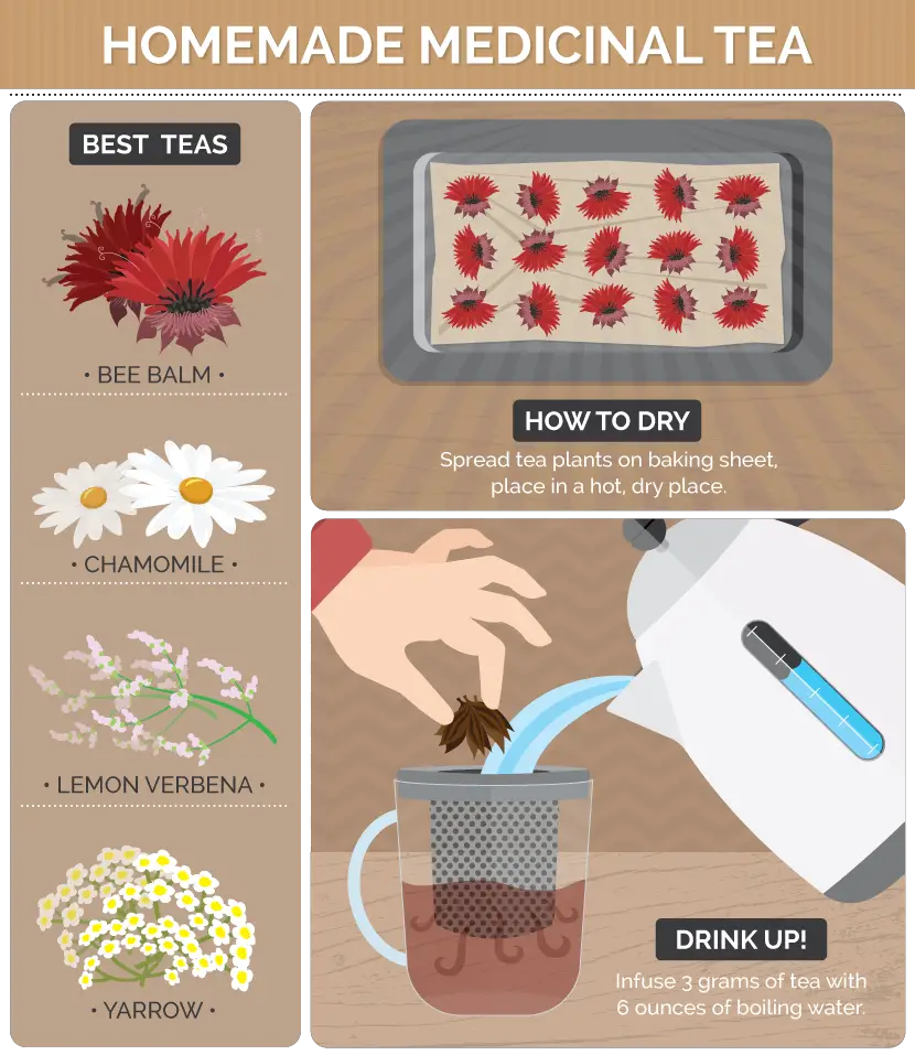 How to Make Medicinal Herb Tea at Home