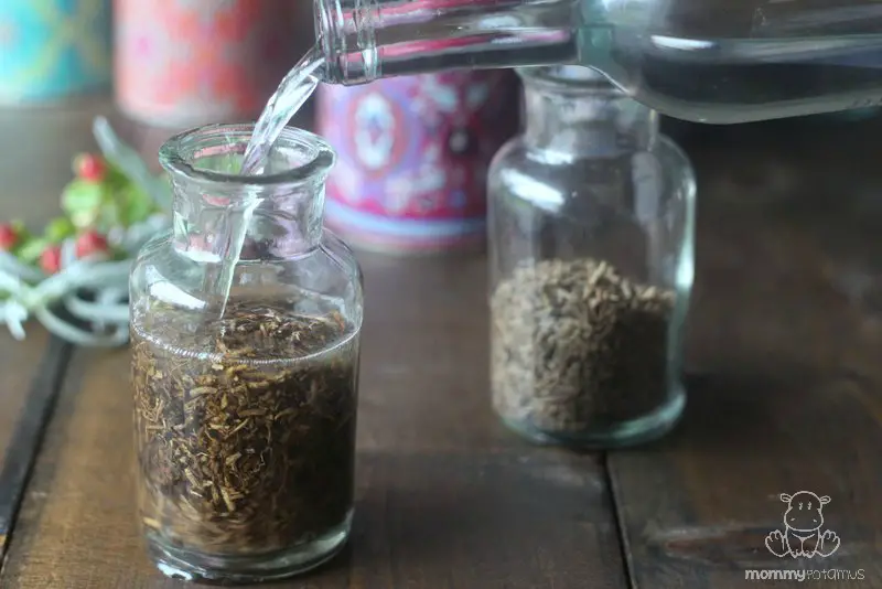Valerian Root Sleep and Relaxation Tincture Recipe