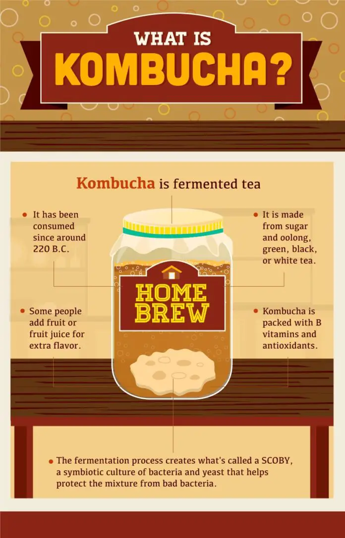Home Brew Fermented Kombucha Tea