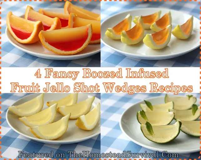 4 Fancy Boozed Infused Fruit Jello Shot Wedges Recipes