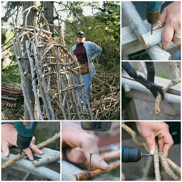 Build a Garden Trellis from Tree Branches Project