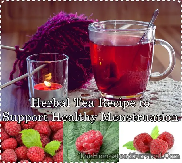Herbal Tea Recipe to Support Healthy Menstruation