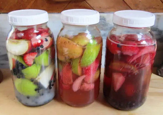 Homemade Fruit Kvass For Probiotic Benefits