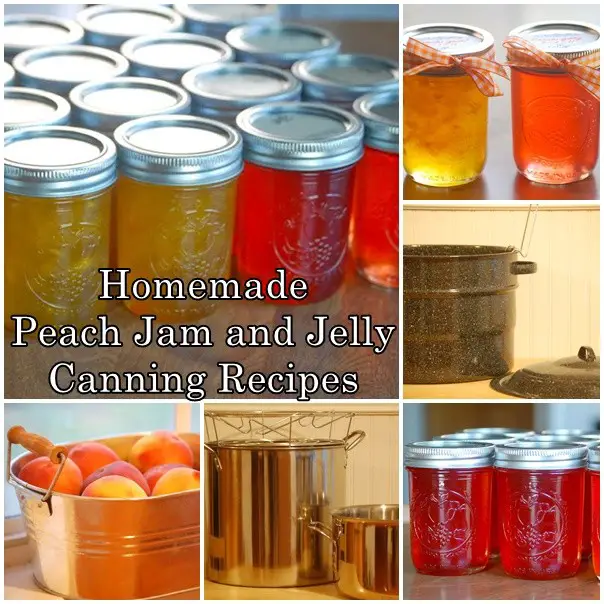 Homemade Peach Jam and Jelly Canning Recipes