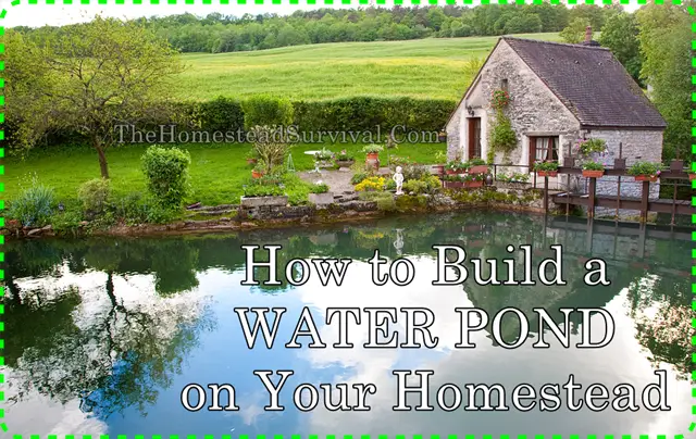 How to Build a WATER POND on Your Homestead