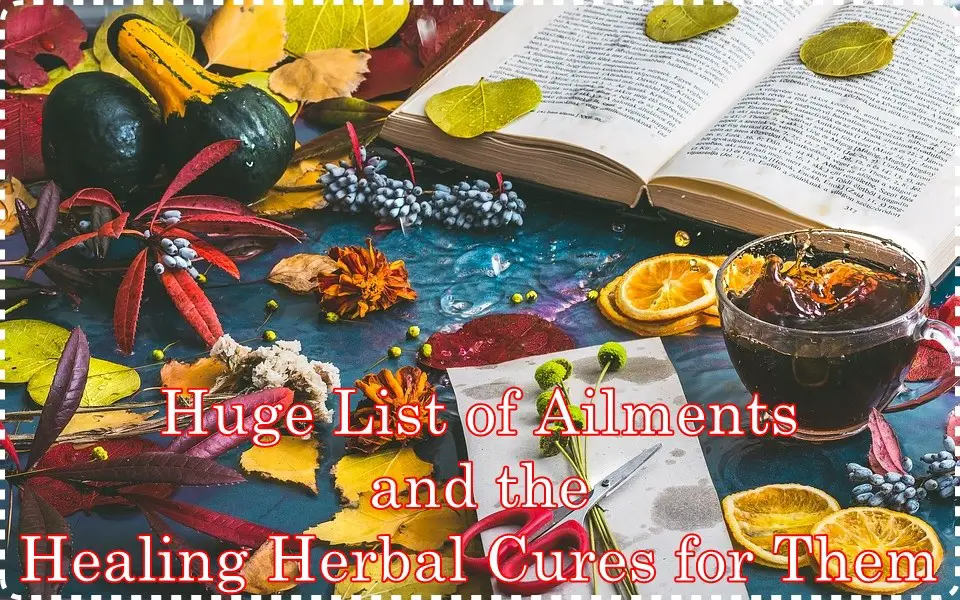 Huge List of Ailments and the Healing Herbal Cures for Them
