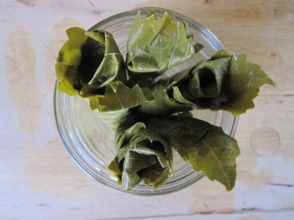Preserve Grape Leaves For Use Later