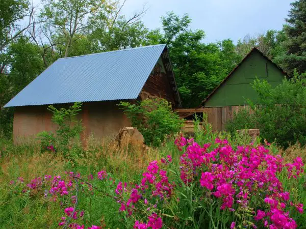 5 Common Mistakes Homesteaders Make That Cost Them Money