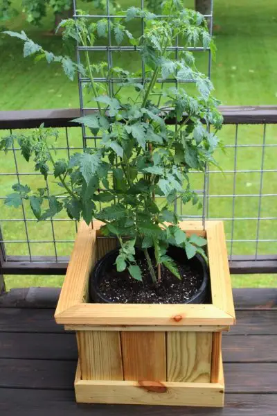 Build Attractive Wood Boxes For Your Container Gardening