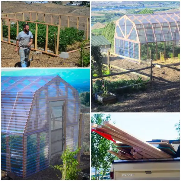Build a Grand Scale Homesteading Greenhouse Project