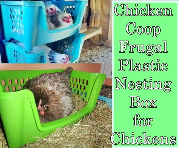 Chicken Coop Frugal Plastic Nesting Box for Chickens