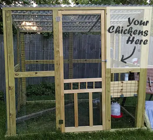 Building a Chicken Run DIY Project for Beginners