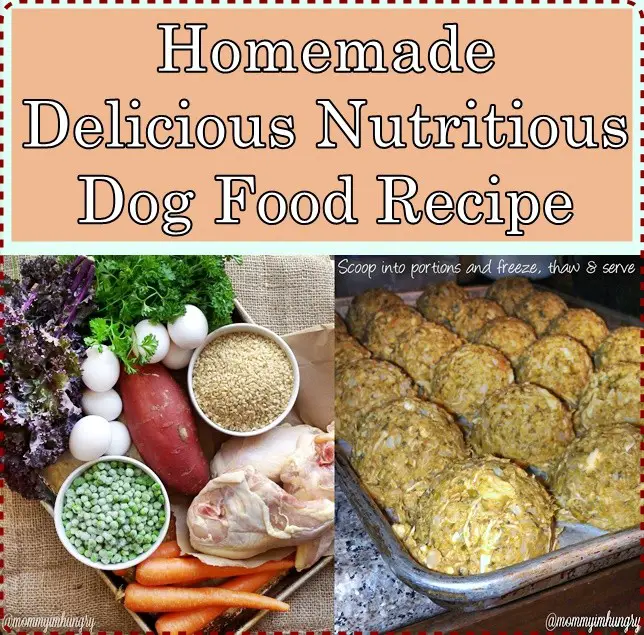 Homemade Delicious Nutritious Dog Food Recipe