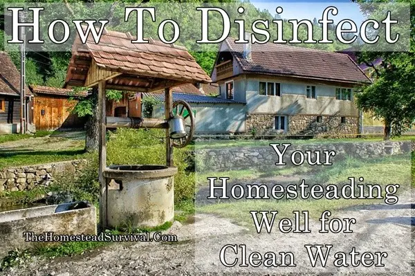 How To Disinfect Your Homesteading Well for Clean Water