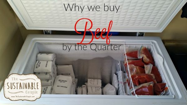 Reasons To Buy Beef In Bulk From A Local Farmer