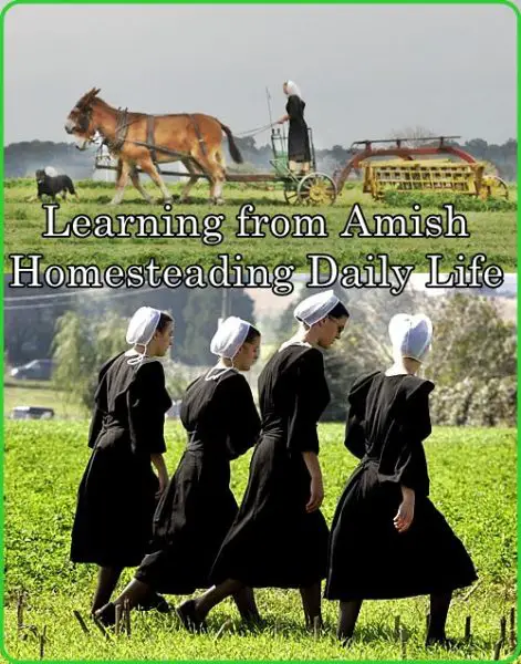Learning from Amish Homesteading Daily Life