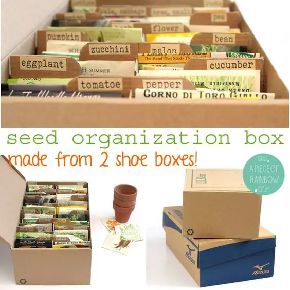 Make a Homesteading Gardening Seed Storage Box Project
