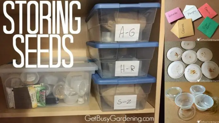 A Frugal Way To Store Garden Seeds for Homesteaders