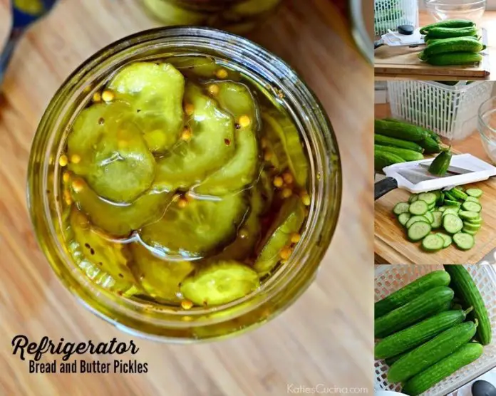 Amazing Refrigerator Bread and Butter Pickles Recipe